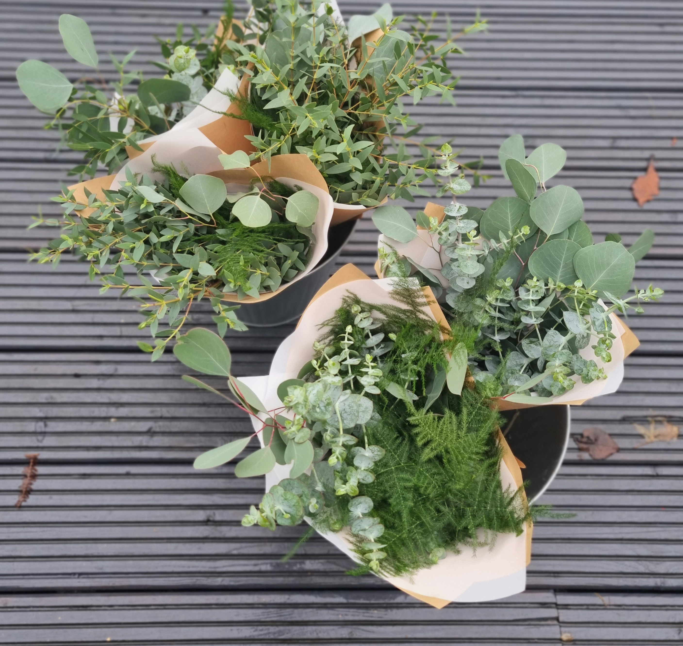 MIXED EUCALYPTUS BUNDLES