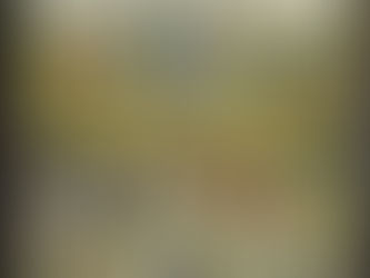 Origine degli affetti: traccia e slide delle lezioni del prof. Giuseppe De Bortoli