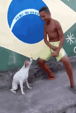 imageedit_9_9152036618.gif