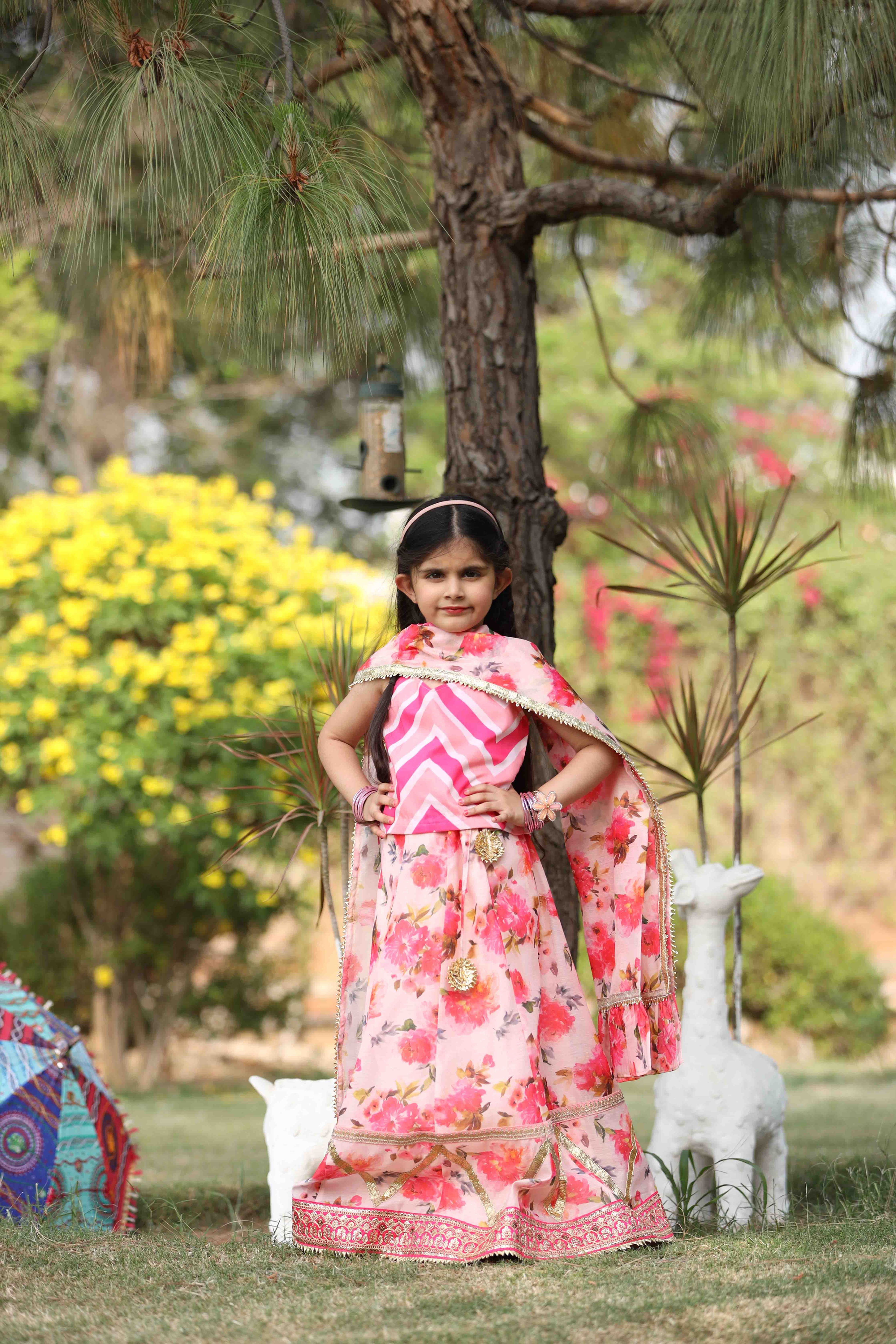 Pink Chanderi Cotton Printed Lehenga