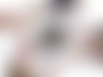 Makeup collection with eyeshadow palettes, lipsticks, and a leopard print pouch on a white surface. Visible text: Naked, the beauty look book.