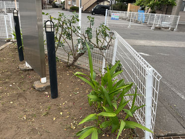 【草むしり】施設の花壇をお手伝い(群馬県伊勢崎市)