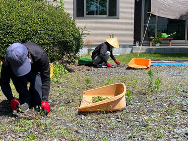 邪魔な雑草の草刈り&草むしりもお任せください!🌿