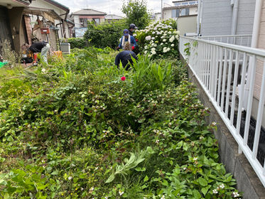 【お庭の草取り】ほとんど手作業で対応(埼玉県深谷市)