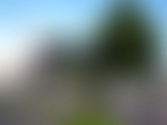 【空き家管理】春前点検でご近所トラブルを防止！（群馬県伊勢崎市・太田市・前橋市・高崎市・本庄市）