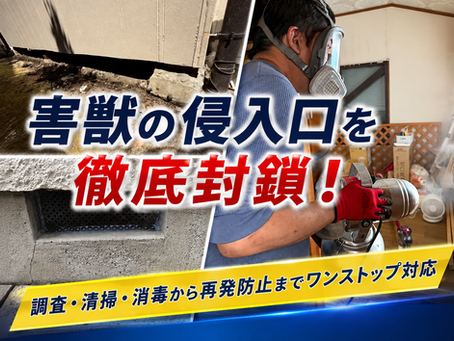 【害獣駆除】8月も神奈川県各地で対応!ネズミ・アライグマ・ハクビシンの施工事例