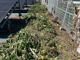 【草刈り・草取り】春の雑草シーズン前に早め対策！（群馬県伊勢崎市・太田市・前橋市・高崎市・本庄市）