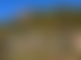 【松の木剪定】迎春準備にふさわしい庭へ！庭木全体を美しくお手入れ（埼玉県大里郡寄居町横寄居）