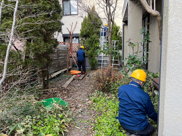 庭整備のチャンス!プロの手で美しい庭を作りませんか?🌿(群馬県伊勢崎市)