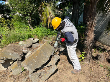 【剪定】庭先のお困りごとも解決!ツゲとサンゴジュの手入れ(群馬県伊勢崎市)