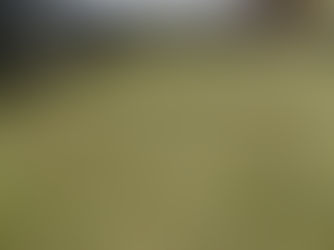 【空き地の草刈り】ボーボーに伸びた雑草をまとめて整理！秋の管理作業（群馬県伊勢崎市）