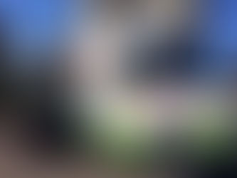 Staying Healthy and Keeping it Fresh on Campus