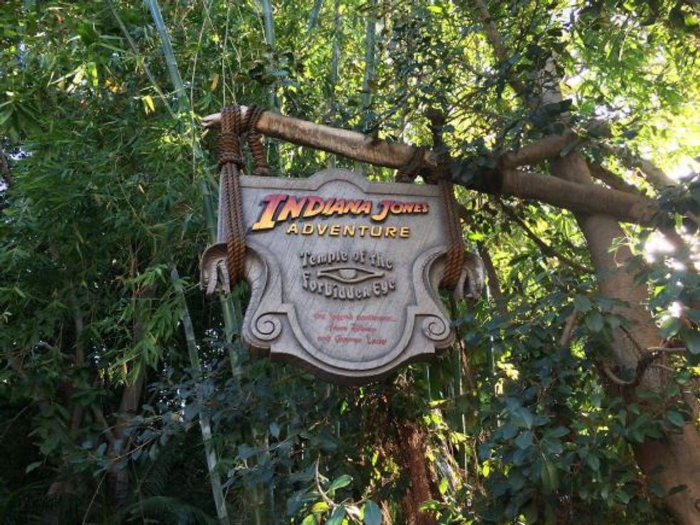 Disneyland Spring Break 2017 Picture 1