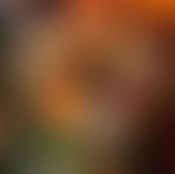 Get Ready to Rave with Us