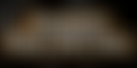 Phoenix Film Festival: A Celebration of Diversity in Film