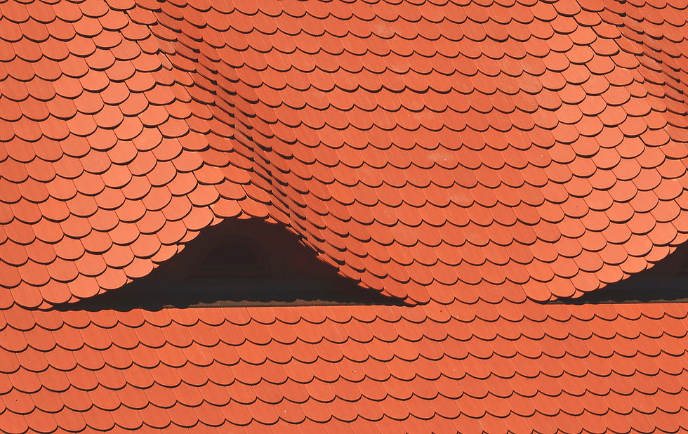 Red Tile Roof