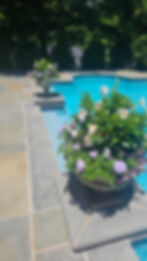 seasonal color 1.jpg