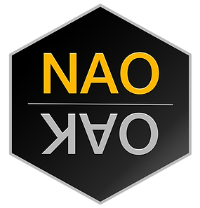 NAO Master Mirror Logo Web PNG.png
