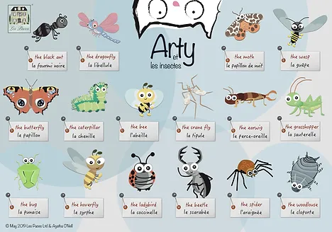 Image result for learning insect names in french