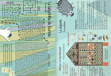 Les Puces Early Years French Classes for children. kids, 3-11 years old, KS2 learner, language, tuition, insects workbook