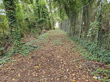 Alleyway trail.jpg