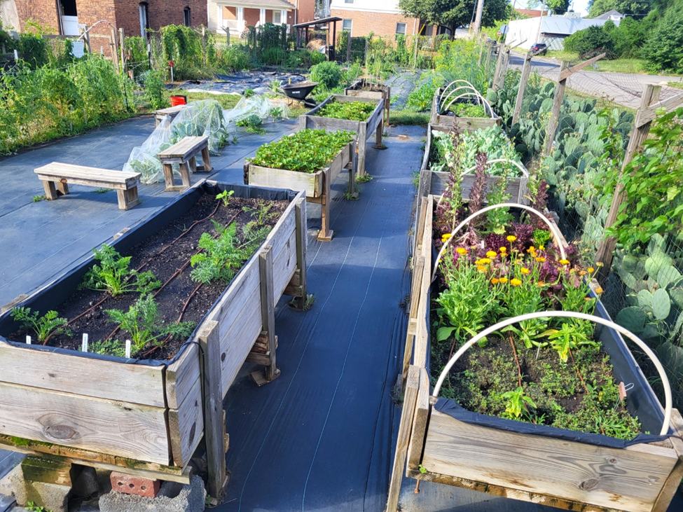 The Carver Garden at 6th & Loudon