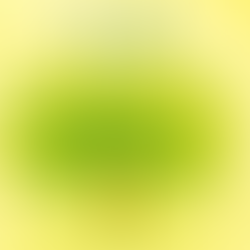 コトノハ(言の葉)