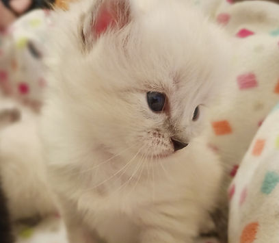 20230203_172821 (1).jpg