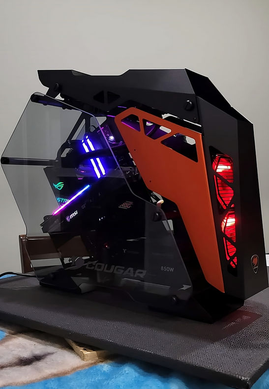 Cougar Build 04.jpeg