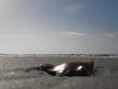 Folly Beach May 25th 2026 Faith through trials with light breaking through a heavy sky.