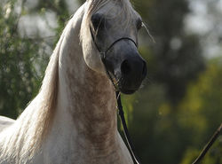 MM FABRIZIO - 04.jpg