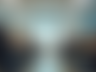 Lingowelt Sprachkurse in Singen: Ihr Sprachkursanbieter