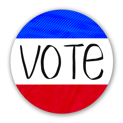 Voting Election 2020 GIF by Chris Olson.gif