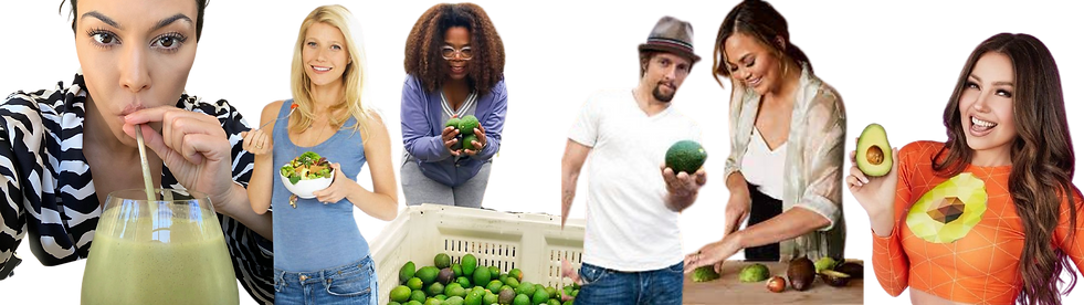 2.png