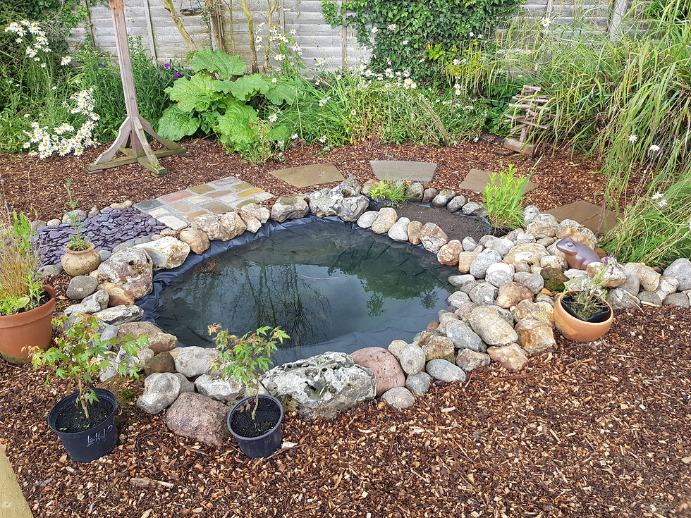 20190614_103231.jpg
