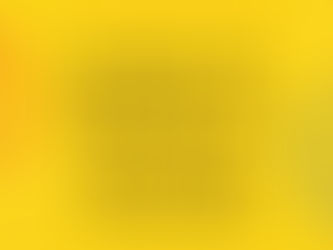 IZADA DE BANDERA