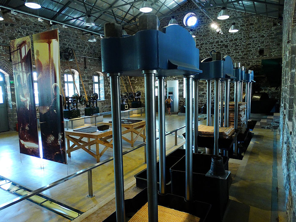 Museum of Industrial Olive Oil Production Agia Paraskevi Lesvos