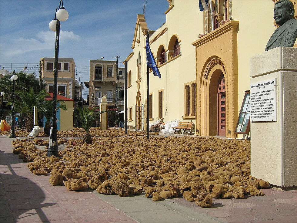 Drying Sponges in Pothia
