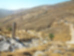 Petrified Forest | Shiny Greece