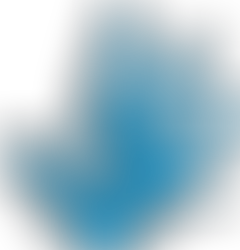 10. Dezember - Tag der Menschenrechte