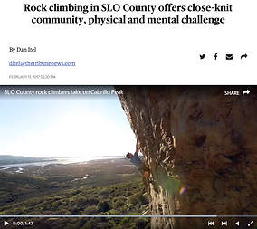 Screen Shot 2019-11-21 at 9.26.11 AM.png