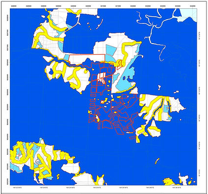 GIS Mapping.jpeg