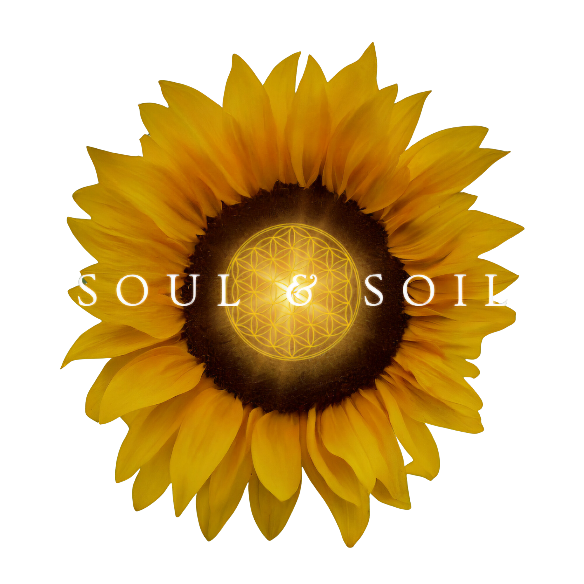 Writer: Soul & Soil 