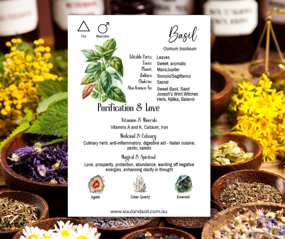 100 Herb & Spice Profile Cards - Instant Download
