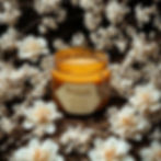 Organic Goodness Madurai Jasmine Scented Soy Candle
