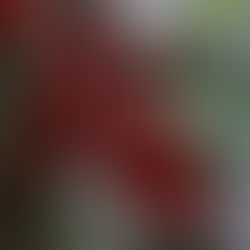 「制度を知る」ことが家族の安心につながる