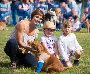 Family Fun Dog Show -3rd September 2017