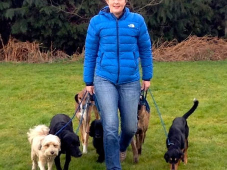 Dog Trouble Centre Volunteers
