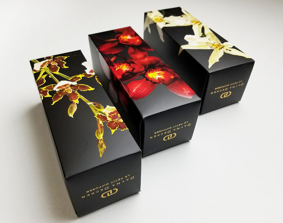DAYNA DECKER Le Petit Diffuser Boxes