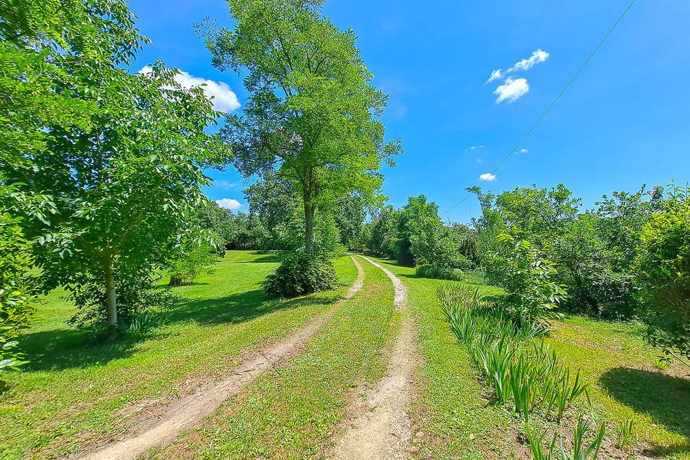 Beautiful Country Property set on 26 hectares in None, None - Image 16